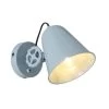 Anne Light & Home Wandlamp Dolphin - 1 Lichts - 25x14 Cm - Groen -Beroemde Verlichtings Winkel 1000023277