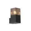 QAZQA Moderne Buiten Wandlamp Zwart IP44 Met Smoke Glas - Denmark -Beroemde Verlichtings Winkel 1000045891