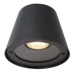 Lucide LED Wandlamp Buiten DINGO IP44 - Antraciet - 14,5x11,5x9 Cm -Beroemde Verlichtings Winkel 81018831 0600